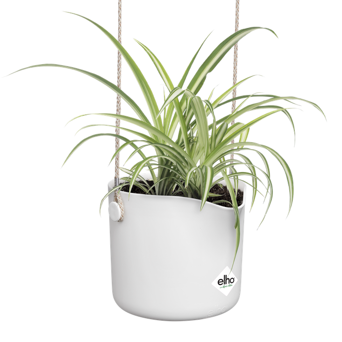 b.for swing 18cm white